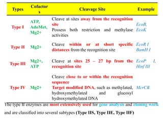 Types
Cofactor
s
Cleavage Site Example
Type I
ATP,
AdoMet,
Mg2+
Cleave at sites away from the recognition
site
Possess both restriction and methylase
activities
EcoB,
EcoK
Type II Mg2+
Cleave within or at short specific
distances from the recognition site
EcoR I
BamH I
Type III
Mg2+,
ATP
Cleave at sites 25 – 27 bp from the
recognition site
EcoP I,
Hinf III
Type IV Mg2+
Cleave close to or within the recognition
sequence
Target modified DNA, such as methylated,
hydroxymethylated and glucosyl
hydroxymethylated DNA
McrCB
The type II enzymes are most extensively used for gene analysis and cloning work
and are classified into several subtypes (Type IIS, Type IIE, Type IIF)
 