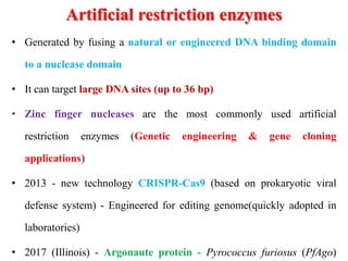 Artificial restriction enzymes
• Generated by fusing a natural or engineered DNA binding domain
to a nuclease domain
• It can target large DNA sites (up to 36 bp)
• Zinc finger nucleases are the most commonly used artificial
restriction enzymes (Genetic engineering & gene cloning
applications)
• 2013 - new technology CRISPR-Cas9 (based on prokaryotic viral
defense system) - Engineered for editing genome(quickly adopted in
laboratories)
• 2017 (Illinois) - Argonaute protein - Pyrococcus furiosus (PfAgo)
 
