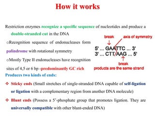 How it works
Restriction enzymes recognize a specific sequence of nucleotides and produce a
double-stranded cut in the DNA
Produces two kinds of ends:
 Sticky ends (Small stretches of single-stranded DNA capable of self-ligation
or ligation with a complementary region from another DNA molecule)
 Blunt ends (Possess a 5’-phosphate group that promotes ligation. They are
universally compatible with other blunt-ended DNA)
oRecognition sequence of endonucleases form
palindrome with rotational symmetry
oMostly Type II endonucleases have recognition
sites of 4,5 or 6 bp -predominantly GC rich
 