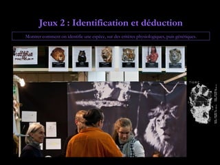 Jeux 2 : Identification et déduction
Montrer comment on identifie une espèce, sur des critères physiologiques, puis génétiques.
 