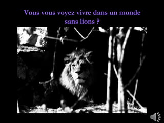 Vous vous voyez vivre dans un monde
            sans lions ?
 