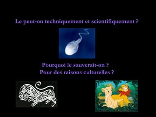 Le peut-on techniquement et scientifiquement ?




          Pourquoi le sauverait-on ?
         Pour des raisons culturelles ?
 