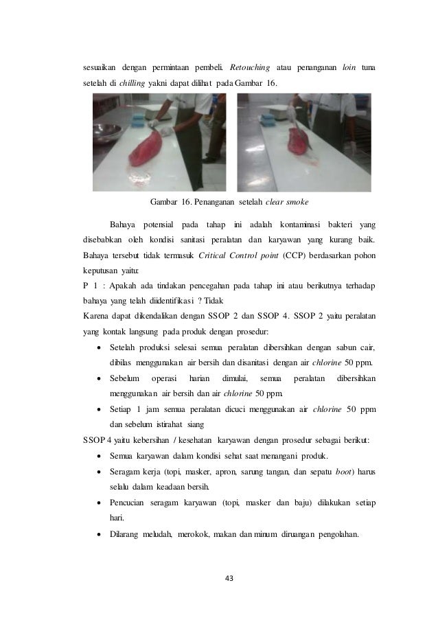 Contoh Cv Untuk Pkl - Tweeter Directory