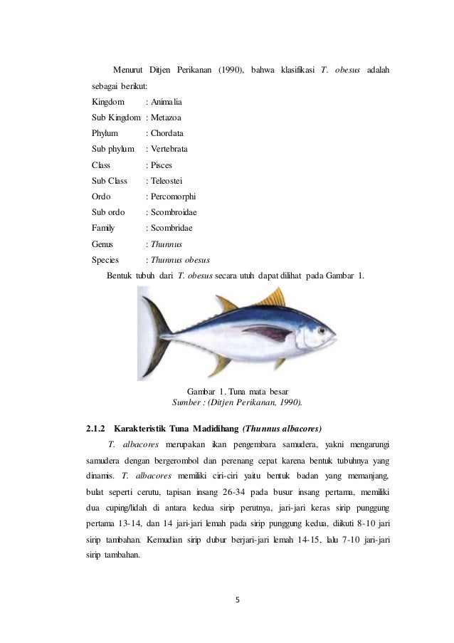 Diagram Alir Pembuatan Nugget Ikan Choice Image - How To 