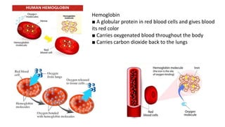APPROACH TO ANAEMIA | PPTX
