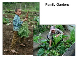 Family Gardens 