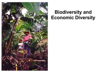 Biodiversity and Economic Diversity 
