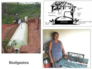 Biodigestors 