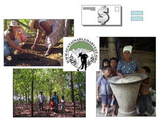 Planting Hope Restoring Forests Nourishing Communities 