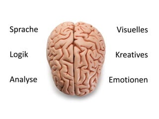 Analyse
Logik
Sprache Visuelles
Emotionen
Kreatives
 