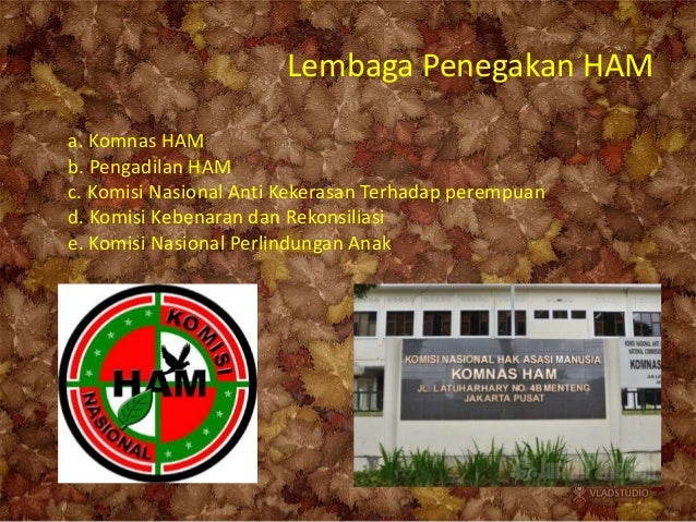 Hak Asasi Manusia Kelas 11 SMA