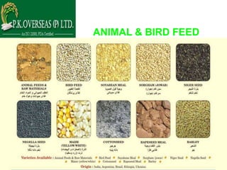ANIMAL & BIRD FEED
 