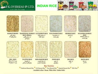 INDIAN RICE
 