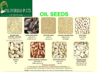 OIL SEEDS
 