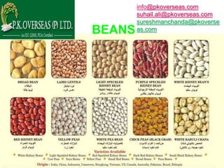 info@pkoverseas.com
        suhail.ali@pkoverseas.com
        sureshmanchanda@pkoverse
BEANS   as.com
 
