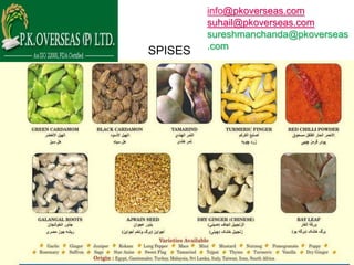 info@pkoverseas.com
         suhail@pkoverseas.com
         sureshmanchanda@pkoverseas
         .com
SPISES
 