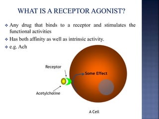  Any drug that binds to a receptor and stimulates the 
functional activities 
 Has both affinity as well as intrinsic activity. 
 e.g. Ach 
Receptor 
Acetylcholine 
Some Effect 
A Cell 
 