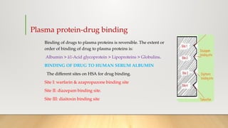 Pharmacokinetics and Toxicokinetic ,Detailed description on Drug ...