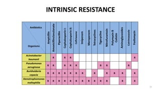 Pk pd analysis and mic interpretation in microbiological reports | PPTX