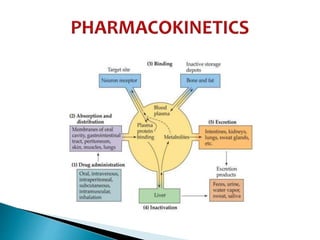 pharmacokinetics and pharmacodynamics | PPTX