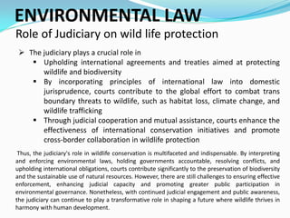 Judiciary's Crucial Role in Wildlife Protection and Environmental Law ...