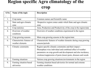 Region specific Agro climatology of the 
crop 
S.No 
. 
Name of the topic Description 
1. Crop name Common names and Scientific name 
2. State and agro climatic 
zone 
Respective region comes under which State and agro climatic 
zone 
3. Crop statistics Area, Production and Productivity of the crop in the region/state 
4. Overview of weather 
conditions 
Overview of weather conditions experienced in the region 
5. Crop growing seasons Main crop growing seasons in the region/state 
6. Characteristic features of 
weather elements 
Characteristic features of weather elements during crop growing 
seasons/periods 
7. Climatic constraints Region specific climatic constraints and their impact - 
Phenophase wise individual and combined effect of weather 
parameters on crop growth and development and also incidence, 
virulence/suppression of pests (insect pests, diseases and weeds 
8. Farming situations Various crop growing situations/environments in the region 
9. Farming situation based 
advisories 
Farming situation based advisories for normal and extreme 
weather conditions 
 