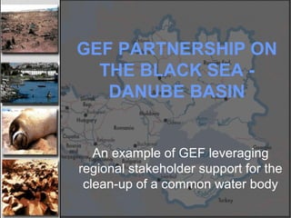 GEF PARTNERSHIP ON
THE BLACK SEA -
DANUBE BASIN
An example of GEF leveraging
regional stakeholder support for the
clean-up of a common water body
 