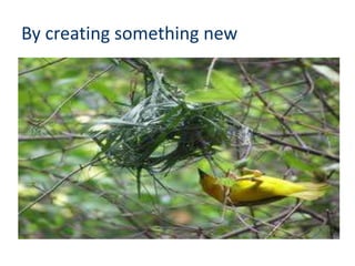 By creating something new
 