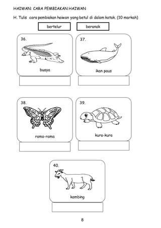 HAIWAN: CARA PEMBIAKAN HAIWAN 
H. Tulis cara pembiakan haiwan yang betul di dalam kotak. (10 markah) 
bertelur beranak 
8 
36. 
buaya 
37. 
ikan paus 
38. 
rama-rama 
39. 
kura-kura 
40. 
kambing 
 