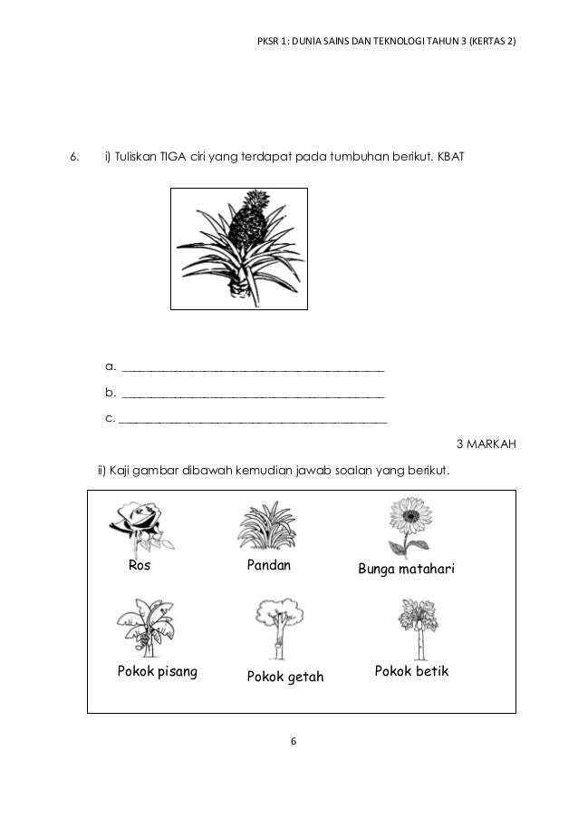 Dunia Sains dan Teknologi Tahun 3 PKSR 1 Kertas 2 2016