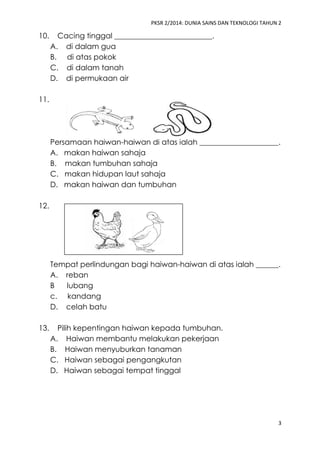PKSR 2/2014: DUNIA SAINS DAN TEKNOLOGI TAHUN 2 
3 
10. Cacing tinggal __________________________. 
A. di dalam gua 
B. di atas pokok 
C. di dalam tanah 
D. di permukaan air 
11. 
Persamaan haiwan-haiwan di atas ialah _____________________. 
A. makan haiwan sahaja 
B. makan tumbuhan sahaja 
C. makan hidupan laut sahaja 
D. makan haiwan dan tumbuhan 
12. 
Tempat perlindungan bagi haiwan-haiwan di atas ialah ______. 
A. reban 
B lubang 
c. kandang 
D. celah batu 
13. Pilih kepentingan haiwan kepada tumbuhan. 
A. Haiwan membantu melakukan pekerjaan 
B. Haiwan menyuburkan tanaman 
C. Haiwan sebagai pengangkutan 
D. Haiwan sebagai tempat tinggal 
 