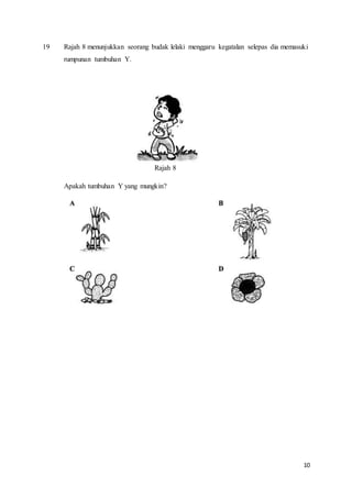 10
19 Rajah 8 menunjukkan seorang budak lelaki menggaru kegatalan selepas dia memasuki
rumpunan tumbuhan Y.
Rajah 8
Apakah tumbuhan Y yang mungkin?
 