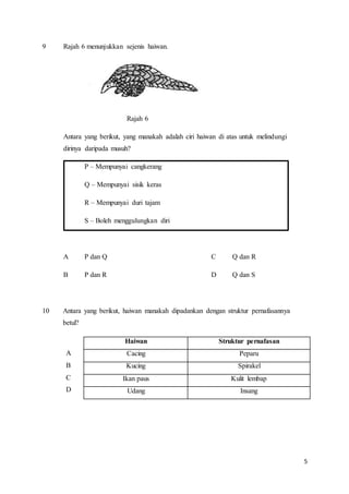 5
9 Rajah 6 menunjukkan sejenis haiwan.
Rajah 6
Antara yang berikut, yang manakah adalah ciri haiwan di atas untuk melindungi
dirinya daripada musuh?
P – Mempunyai cangkerang
Q – Mempunyai sisik keras
R – Mempunyai duri tajam
S – Boleh menggulungkan diri
A P dan Q C Q dan R
B P dan R D Q dan S
10 Antara yang berikut, haiwan manakah dipadankan dengan struktur pernafasannya
betul?
A
B
C
D
Haiwan Struktur pernafasan
Cacing Peparu
Kucing Spirakel
Ikan paus Kulit lembap
Udang Insang
 