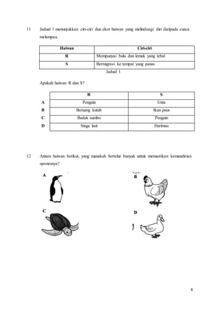 6
11 Jadual 1 menunjukkan ciri-ciri dua ekor haiwan yang melindungi diri daripada cuaca
melampau.
Haiwan Ciri-ciri
R Mempunyai bulu dan lemak yang tebal
S Bermigrasi ke tempat yang panas
Jadual 1
Apakah haiwan R dan S?
R S
A Penguin Unta
B Beruang kutub Ikan paus
C Badak sumbu Penguin
D Singa laut Harimau
12 Antara haiwan berikut, yang manakah bertelur banyak untuk memastikan kemandirian
spesiesnya?
 