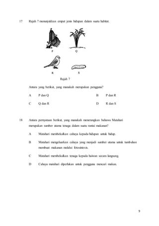 9
17 Rajah 7 menunjukkan empat jenis hidupan dalam suatu habitat.
Rajah 7
Antara yang berikut, yang manakah merupakan pengguna?
A P dan Q B P dan R
C Q dan R D R dan S
18 Antara pernyataan berikut, yang manakah menerangkan bahawa Matahari
merupakan sumber utama tenaga dalam suatu rantai makanan?
A Matahari membekalkan cahaya kepada hidupan untuk hidup.
B Matahari mengeluarkan cahaya yang menjadi sumber utama untuk tumbuhan
membuat makanan melalui fotosintesis.
C Matahari membekalkan tenaga kepada haiwan secara langsung.
D Cahaya matahari diperlukan untuk pengguna mencari makan.
 