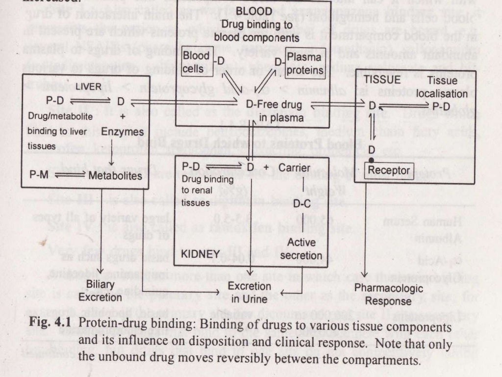 Drug Interactions and protein drug binding interactions