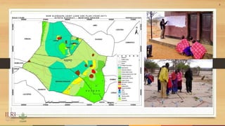Planning across borders for improved rangeland management: the case of JVLUP in Tanzania