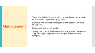 Comprehensive Overview of Cotton Diseases and Their Management | PPTX