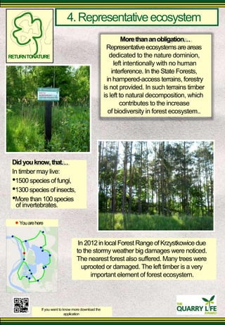 4. Representative ecosystem 
More than an obligation 
Representative ecosystems are areas 
RETURN TONATURE 
dedicated to the nature dominion, 
left intentionally with no human 
interference. In the State Forests, 
in hampered-access terrains, forestry is not provided. In such terrains timber is left to natural decomposition, which 
contributes to the increase 
of biodiversity in forest ecosystem.. 
Did you know, that 
In timber may live: 
•1500 species of fungi, 
•1300 species of insects, •More than 100 species 
of invertebrates. 
You are here 
In 2012 in local Forest Range of Krzystkowice due 
to the stormy weather big damages were noticed. The nearest forest also suffered. Many trees were 
uprooted or damaged. The left timber is a very 
important element of forest ecosystem. 
If you want to know more download the 
application  