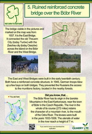 5. Ruined reinforced concrete 
bridge over the Bóbr River 
RETURN TO NATURE 
The bridge visible in the pictures and marked on the map was from 
1937. It is the East Bridge. 
It connected the old Theuern 
City (today Turów) with the 
Zeschau city (today Cieszów) across the island on the Bóbr 
River and the West Bridge. 
The East and West Bridges were built in the early twentieth century. 
Both have a reinforced concrete structure. In 1945, German troops blew 
up a few bays on both bridges. They prevented the Russians the access 
to the munitions factory, located in the nearby forests. 
You are here 
Did you know, that 
The Bóbr River has its origin in the Izerskie 
Mountains in the East Karkonosze, near the town 
of Bóbr in the Czech Republic. The river in the 
whole of its course (272 miles) retains 
the character of a mountain river, to the mouth 
of the Odra River. The levees were built 
in the years 1933-1936. The utensils of water 
in the river reach a height of 7 m. 
If you want to know more download the 
application  