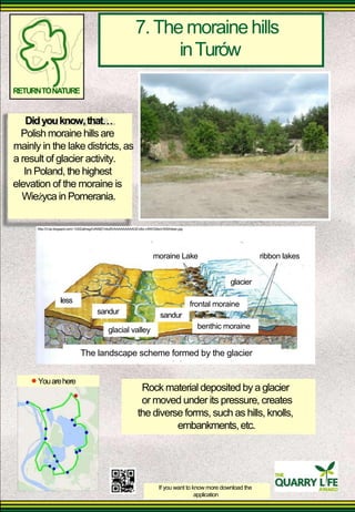 7. The moraine hills 
in Turów 
RETURN TO NATURE 
Did you know, that 
Polish moraine hills are 
mainly in the lake districts, as 
a result of glacier activity. 
In Poland, the highest 
elevation of the moraine is 
Wieżyca in Pomerania. 
http://3.bp.blogspot.com/-1GIlZa6nsgI/UNS6jTmkqRI/AAAAAAAAAGE/z6s-vSNVQ9s/s1600/lskan.jpg 
moraine Lake ribbon lakes 
glacier 
less 
sandur 
glacial valley 
sandur 
frontal moraine 
benthic moraine 
You are here 
The landscape scheme formed by the glacier 
Rock material deposited by a glacier or moved under its pressure, creates 
the diverse forms, such as hills, knolls, 
embankments, etc. 
If you want to know more download the 
application  