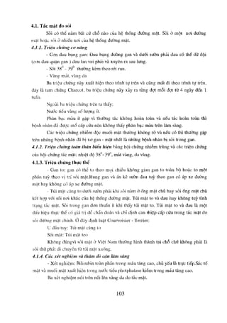 NGOẠI KHOA CƠ SỞ 