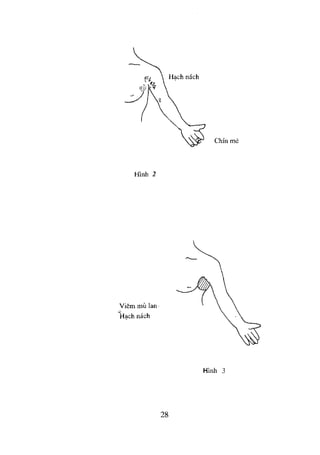 NGOẠI KHOA CƠ SỞ 