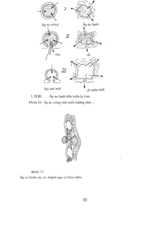 NGOẠI KHOA CƠ SỞ 