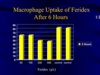 Macrophage Uptake of Feridex
After 6 Hours
0
10
20
30
40
50
60
70
80
90
50 100 250 500 control control
6 Hours
Feridex (µL)
 