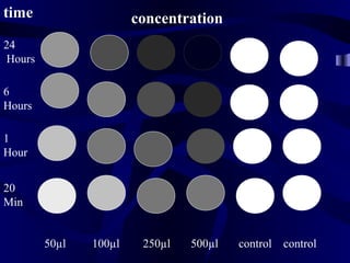 time concentration
20
Min
1
Hour
6
Hours
24
Hours
50µl 100µl 250µl 500µl control control
 