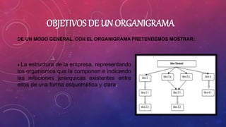 OBJETIVOS DE UN ORGANIGRAMA
DE UN MODO GENERAL, CON EL ORGANIGRAMA PRETENDEMOS MOSTRAR:
♦ La estructura de la empresa, representando
los organismos que la componen e indicando
las relaciones jerárquicas existentes entre
ellos de una forma esquemática y clara.