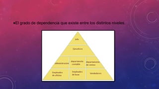♦El grado de dependencia que existe entre los distintos niveles.