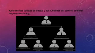♦Los distintos puestos de trabajo y sus funciones así como el personal
responsable a cargo.