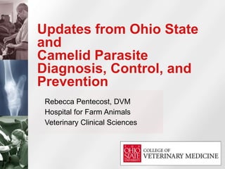Updates from Ohio State and  Camelid Parasite Diagnosis, Control, and Prevention Rebecca Pentecost, DVM Hospital for Farm Animals Veterinary Clinical Sciences 